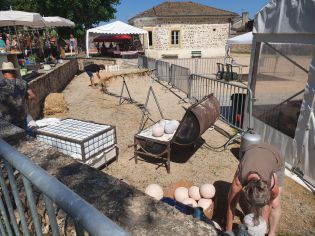 les boules de feu marché de potiers Matour